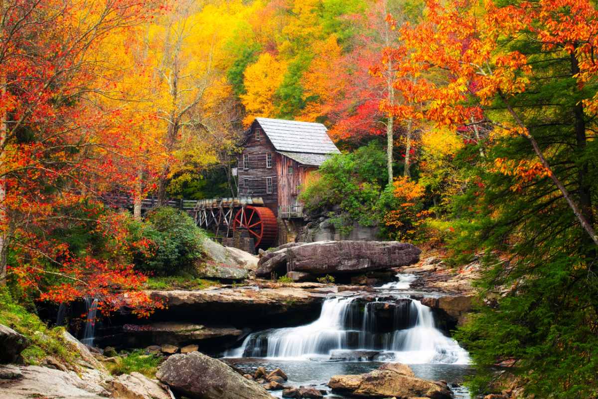 as the world falls watch it all fall fall fall as the world falls watch it all fall fall fall